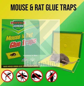 Easy Mouse & Rat GLUE TRAPS -Sticky Mice Rodent Glue Board Bait Traps